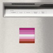 Pink Lesbian Pride Flag Magneet (Insitu (Vaatwasser))