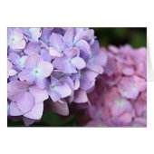 ©Pink & Light Paars Hydrangeas Bloom Blank (Voorkant Horizontaal)