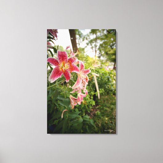 Pink Lillies Canvas Afdruk (Voorkant)