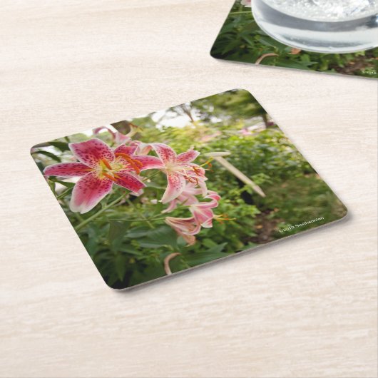 Pink Lillies Kartonnen Onderzetters (Schuin)