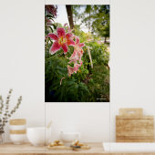 Pink Lillies Poster (Keuken)