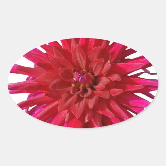 Pink Lilly Ovale Sticker (Voorkant)