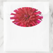 Pink Lilly Ovale Sticker (Tas)