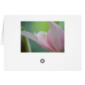 Pink Lily by Shirley Taylor (Achterkant Horizontaal)
