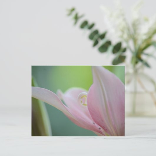 Pink Lily by Shirley Taylor Briefkaart (Staand voorkant)