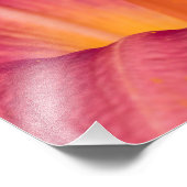 Pink Lily Macro Foto Afdruk (Hoek)
