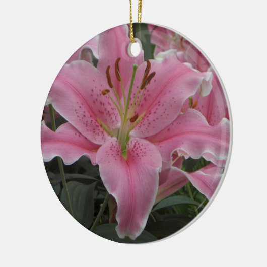 Pink Lily Ornament (Links)