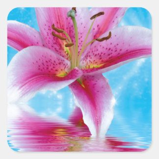 Pink Lily Sparkle Vierkante Sticker