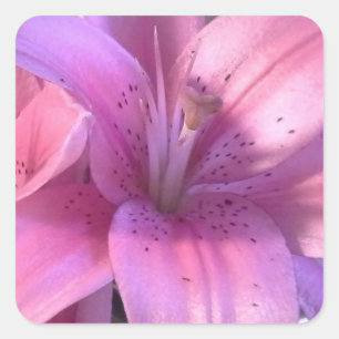 Pink Lily Sticker