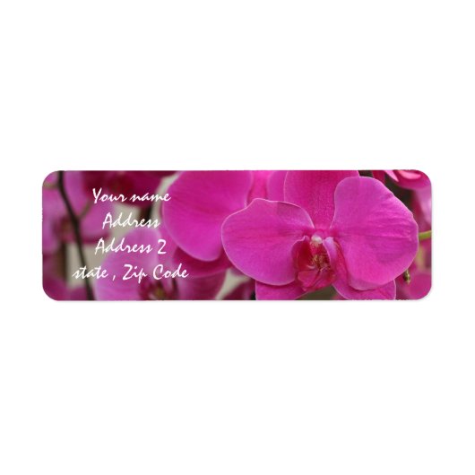 Pink Lotus Blossom addres labels (Voorkant)