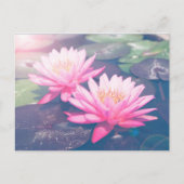 PINK LOTUS-BRIEFKAART BRIEFKAART (Voorkant)