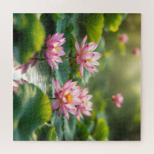 Pink Lotus Floating In a Pond Legpuzzel (Horizontaal)