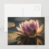 Pink Lotus in het Morning Light Briefkaart (Voorkant / Achterkant)