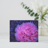 Pink Lush Peony Flower Briefkaart (Staand voorkant)