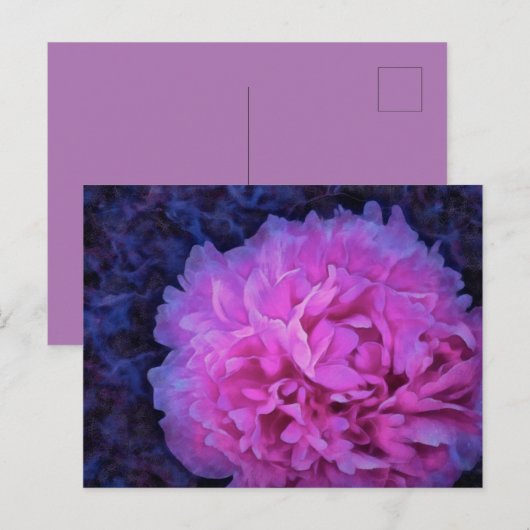 Pink Lush Peony Flower Briefkaart (Voorkant / Achterkant)