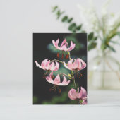 Pink Martagon Lily Flowers Briefkaart (Staand voorkant)