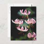Pink Martagon Lily Flowers Briefkaart (Voorkant / Achterkant)