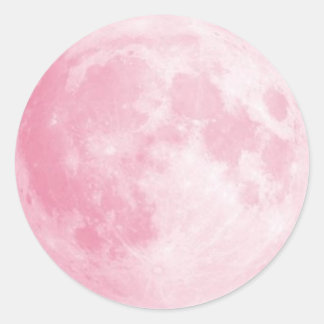 Pink Moon 20 sticker