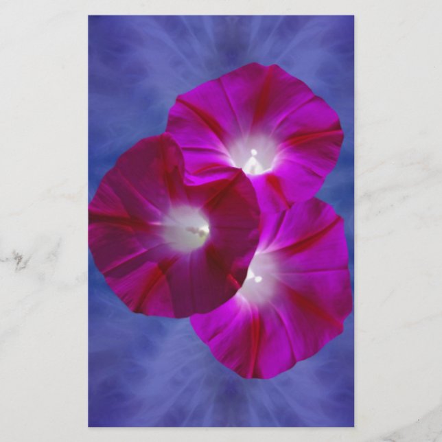 Pink Morning Glory (Voorkant)