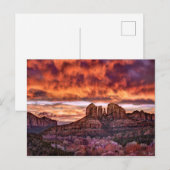 Pink Morning Glory Briefkaart (Voorkant / Achterkant)