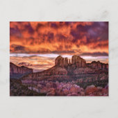 Pink Morning Glory Briefkaart (Voorkant)