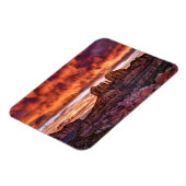 Pink Morning Glory Magneet (Linkerzijde)