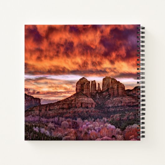 Pink Morning Glory Notitieboek (Achterkant)