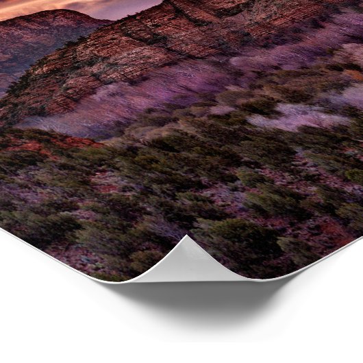 Pink Morning Glory Poster (Hoek)