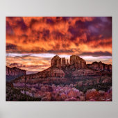 Pink Morning Glory Poster (Voorkant)