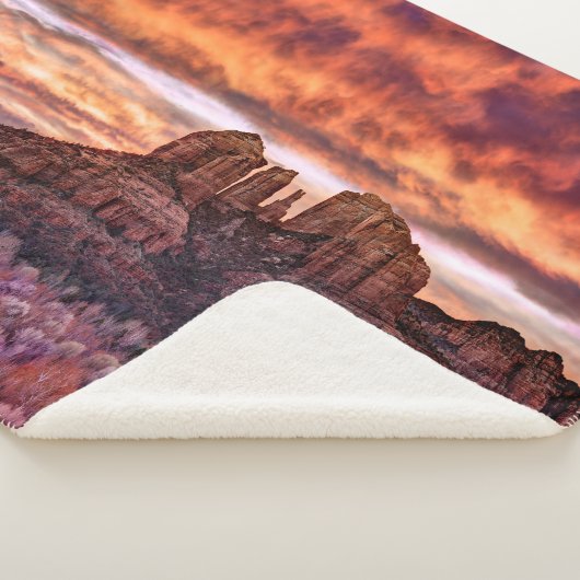 Pink Morning Glory Sherpa Deken (3/4)