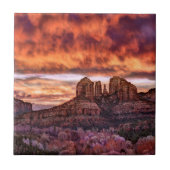 Pink Morning Glory Tegeltje (Voorkant)