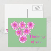 Pink Mums Flowers Denken aan je Briefkaarten (Voorkant / Achterkant)