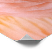 PINK MUSHROOMS POSTER (Hoek)
