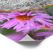 Pink New England Aster Flowers Uw foto toevoegen Poster (Hoek)