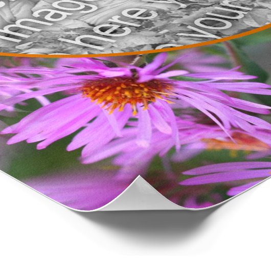 Pink New England Aster Flowers Uw foto toevoegen Poster (Hoek)