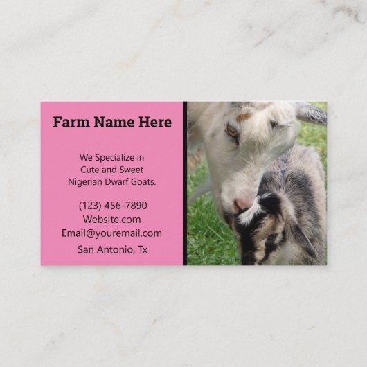 Pink Nigerian Dwarf Goat Breeder Visitekaartje (Voorkant)
