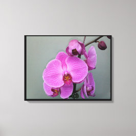 PINK ORCHID canvas