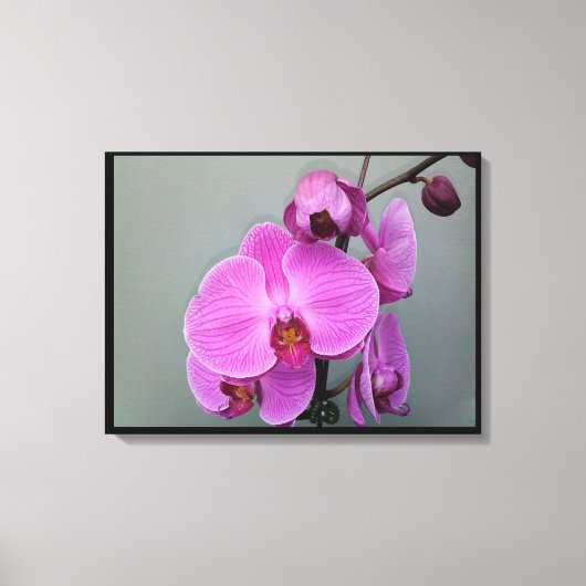 PINK ORCHID canvas (Voorkant)