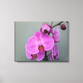 PINK ORCHID canvas Afdruk