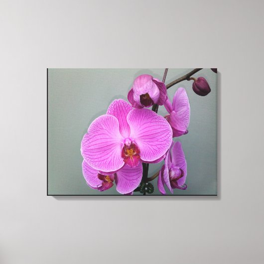 PINK ORCHID canvas Afdruk (Voorkant)