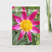 Pink Orchid Dahlia Floral Birthday Kaart (Voorkant)