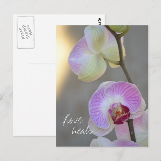 Pink Orchid Expression Love Heals Briefkaart (Voorkant / Achterkant)