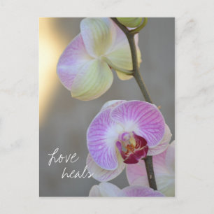 Pink Orchid Expression Love Heals Briefkaart