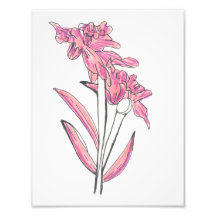 Pink Orchid Print