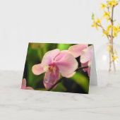 Pink Orchid Wenskaart Kaart (Gele Bloem)