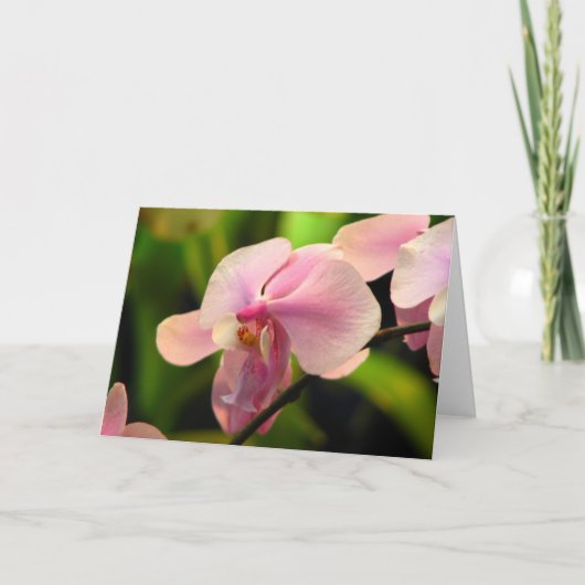 Pink Orchid Wenskaart Kaart (Voorkant)