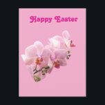 Pink Orchids “Happy Easter” Briefkaart<br><div class="desc">Pink Orchids “Happy Easter” Postcard</div>