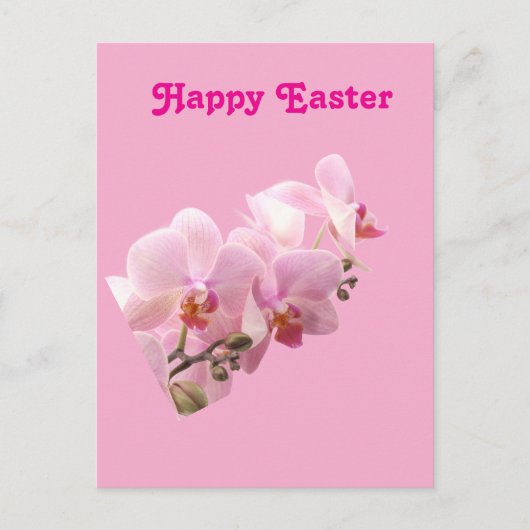 Pink Orchids “Happy Easter” Briefkaart (Voorkant)