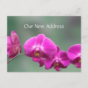 Pink Orchids Nieuw Adres Aankondigingskaart