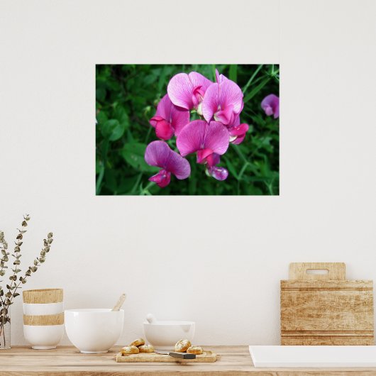 Pink Orchids Poster (Keuken)